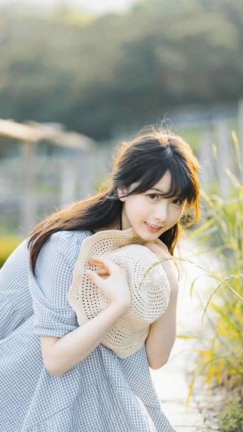 爱意散在风里小说全文免费阅读