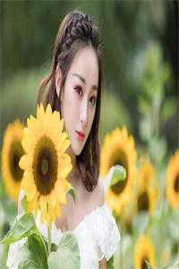 娶了绝美女神，前妻悔得满地打滚无删版