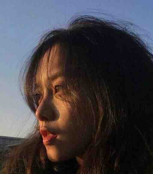 傅总的小玫瑰又野又欲安宁刘海全文+后续+结局