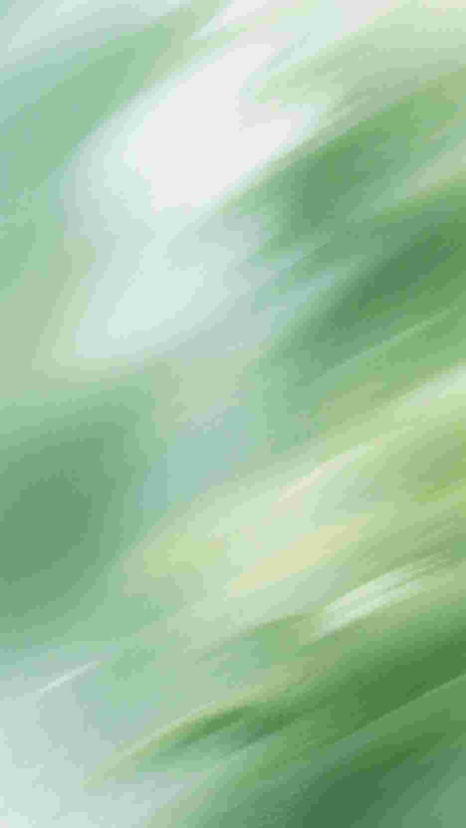 鲸落时星沉于海好书