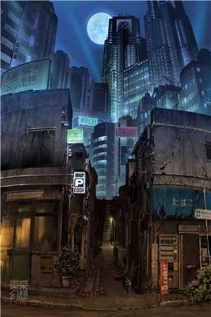 李安田其大结局