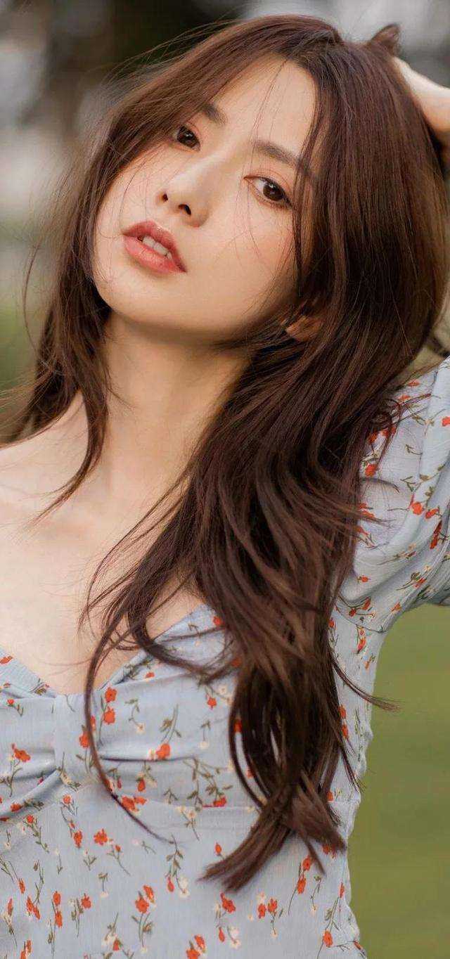 狼往殿下：夫人又要跑路免费阅读全集
