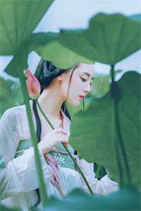 新婚夜，冷情总裁去找他的白月光了免费阅读全集
