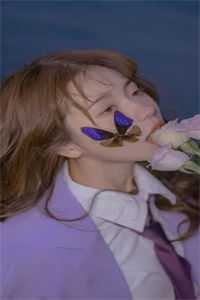 小说宠妻狂婿