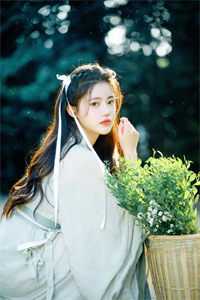 大佬蛮妻马甲多小说