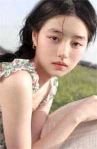 小说入赘神婿